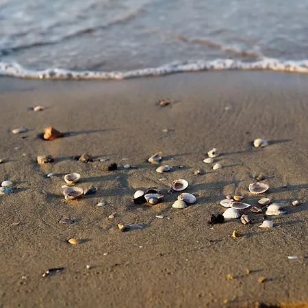 Adorable For 8 People Close To The Sea Bibione